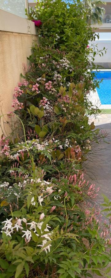 Villa Azul San Pedro del Pinatar Kültér fotó